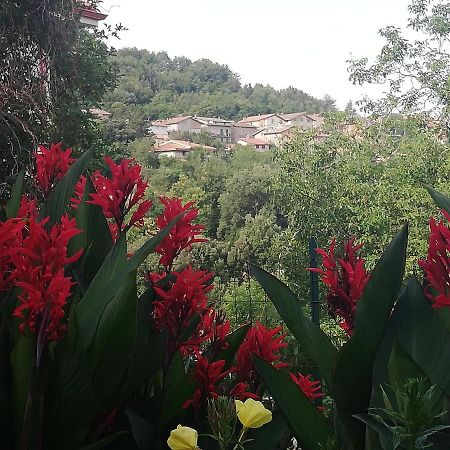 Agrifoglio B&B Con Giardino Aritzo Ngoại thất bức ảnh
