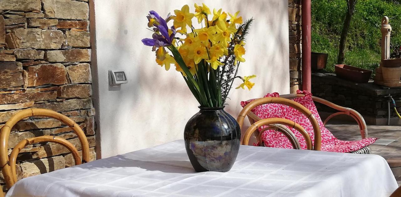 Agrifoglio B&B Con Giardino Aritzo Ngoại thất bức ảnh