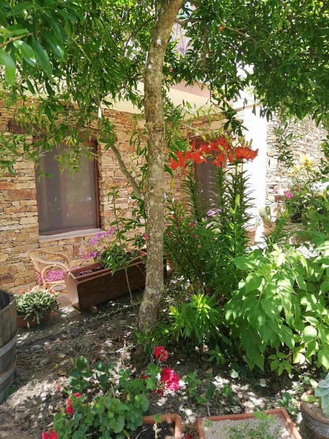 Agrifoglio B&B Con Giardino Aritzo Ngoại thất bức ảnh