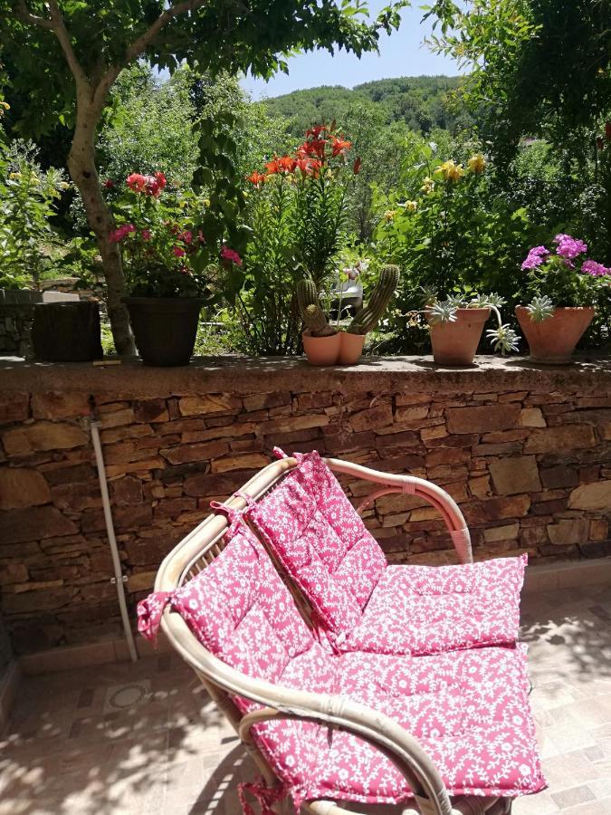 Agrifoglio B&B Con Giardino Aritzo Ngoại thất bức ảnh