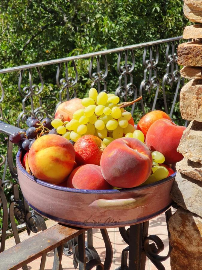 Agrifoglio B&B Con Giardino Aritzo Ngoại thất bức ảnh