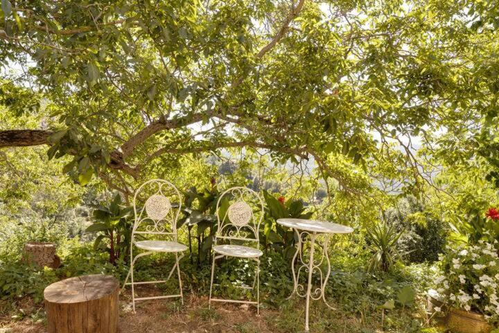 Agrifoglio B&B Con Giardino Aritzo Ngoại thất bức ảnh